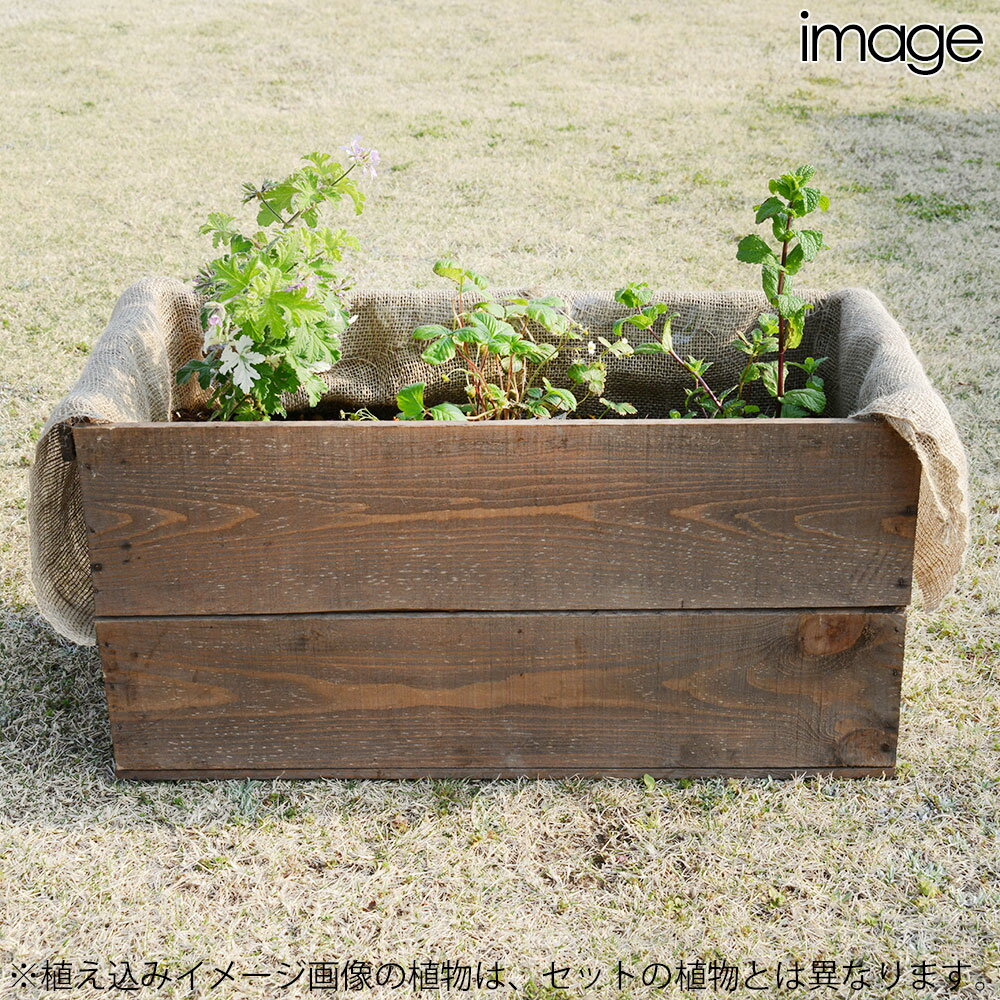 �ʴ��տ�ʪ�ˤ��Ȣ�����ǥ󡡥��åץ�ߥ�Ⱥ��ݥ��åȡ�����ƥ�������Ω�ơ����ޡ����к����������դ���Ʊ���Բ�