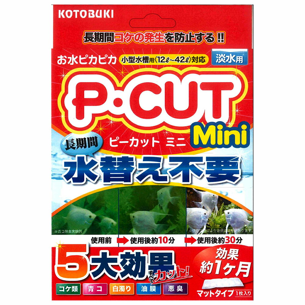 メーカー：コトブキお水ピカピカコトブキ工芸　kotobuki　P・カット　ミニ42対象淡水 小型水槽用（12〜42L）特長●長期間にわたり緑藻類の発生予防に優れた効果を発揮します。 ●青こや白濁りを短期間で除去し透明な輝きのある水を作ります。 ●水の腐敗を防ぎ、いやな臭いを抑えます。 ●水面に浮かんだ油膜も取り除きます。数量1枚主成分アルミナ、酸化亜鉛、銀化合物、リン酸カルシウム生産国日本ご使用方法 【効果期間の目安】 ●青コ・白濁り・油膜・悪臭の除去効果：30〜60分程度（効果は1回限り） ●コケの発生抑制効果：マットタイプ（1枚）：約1ヶ月 ※効果は水質・環境により異なります。 【使用の目安】 小型水槽用（12〜42L）：1枚 ご注意※本品は淡水用のろ材です。目的以外の用途では使用しないでください。 ※古代魚や甲殻類の飼育には使用しないでください。※本品の青コ、白濁り、油膜除去は最初のご使用になられてから1回限りです。お問い合わせについて商品の不明点につきましては、下記にお問い合わせください。株式会社コトブキ工芸　お客様相談室TEL：0743-66-2777コトブキ工芸　すごいんです　ろ材　コケ防止コトブキ工芸　すごいんです　ろ材　ニゴリ・青コ除去コトブキ工芸　すごいんです　ろ材　黄バミ・アク除去 … _aqua　コトブキ工芸　P・カット　ミニ42　4972814584419　20190606　kszk　コケ　あおこ　青コ　油膜　悪臭　白濁り　ろ材　淡水　水質調整材　アクア用品　熱帯魚　除去　アクアリウム　PCUT　ピーカット　Mini　ピーカットミニ　Pカットミニ　P・CUT　ミニ　水替え不要　5大効果　opa2_delete　寿　KOTOBUKI　コケ対策　苔対策　苔　淡水用　淡水専用　吸着　活性炭　臭い　濁り　濁り除去　汚れ　汚れ除去　y19m06■この商品をお買い上げのお客様は、下記商品もお買い上げです。※この商品には付属しません。■コトブキ工芸　すごいんです　ろ材　コケ防止コトブキ工芸　すごいんです　ろ材　ニゴリ・青コ除去コトブキ工芸　すごいんです　ろ材　黄バミ・アク除去