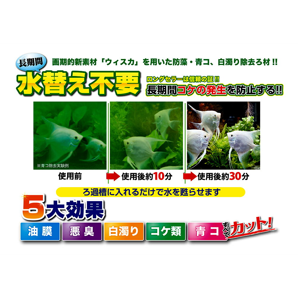 コトブキ工芸　P・カット　ネット60　コケ防止　2〜3か月　関東当日便