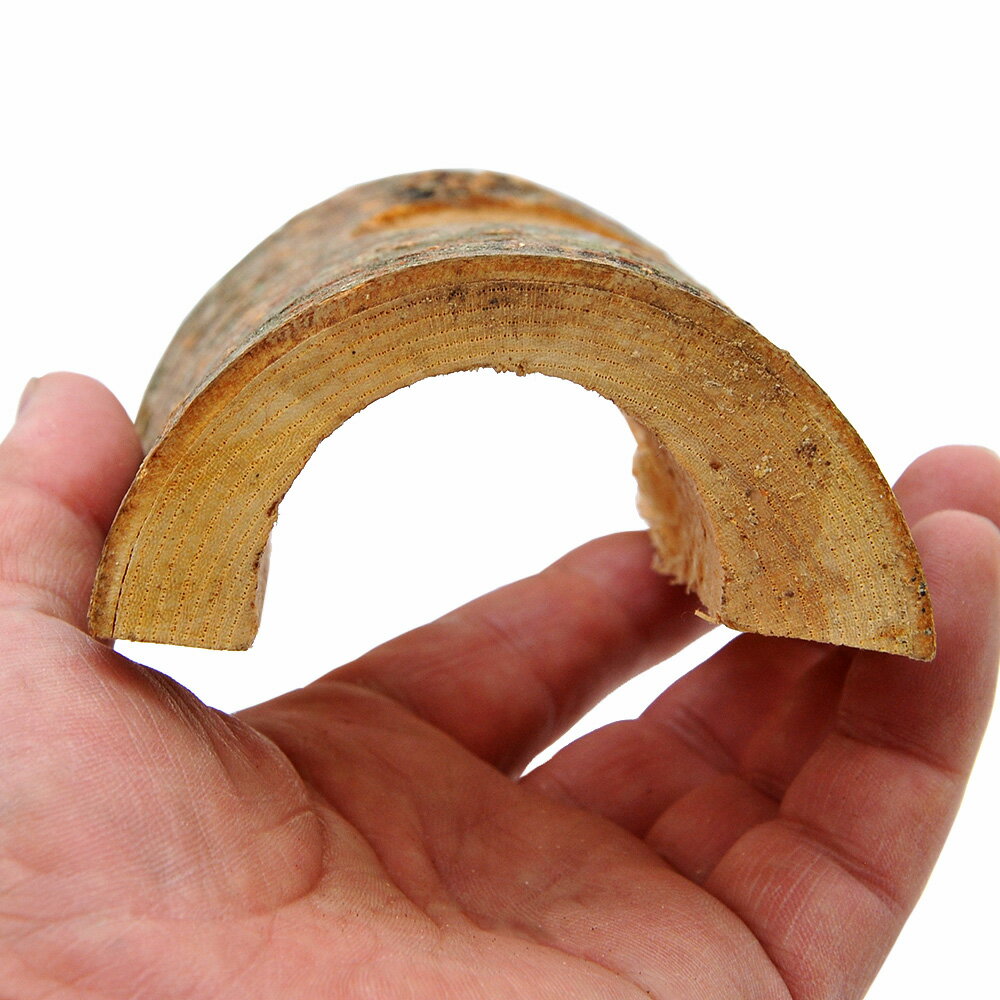 ミタニ　えさ皿ハーフ　昆虫　カブトムシ　クワガタ　エサ皿　関東当日便