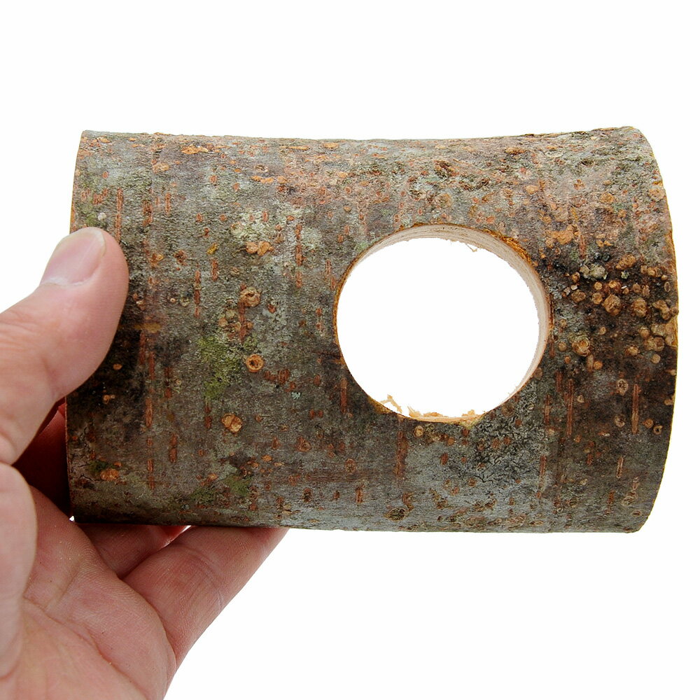 ミタニ　えさ皿ハーフ　昆虫　カブトムシ　クワガタ　エサ皿　関東当日便