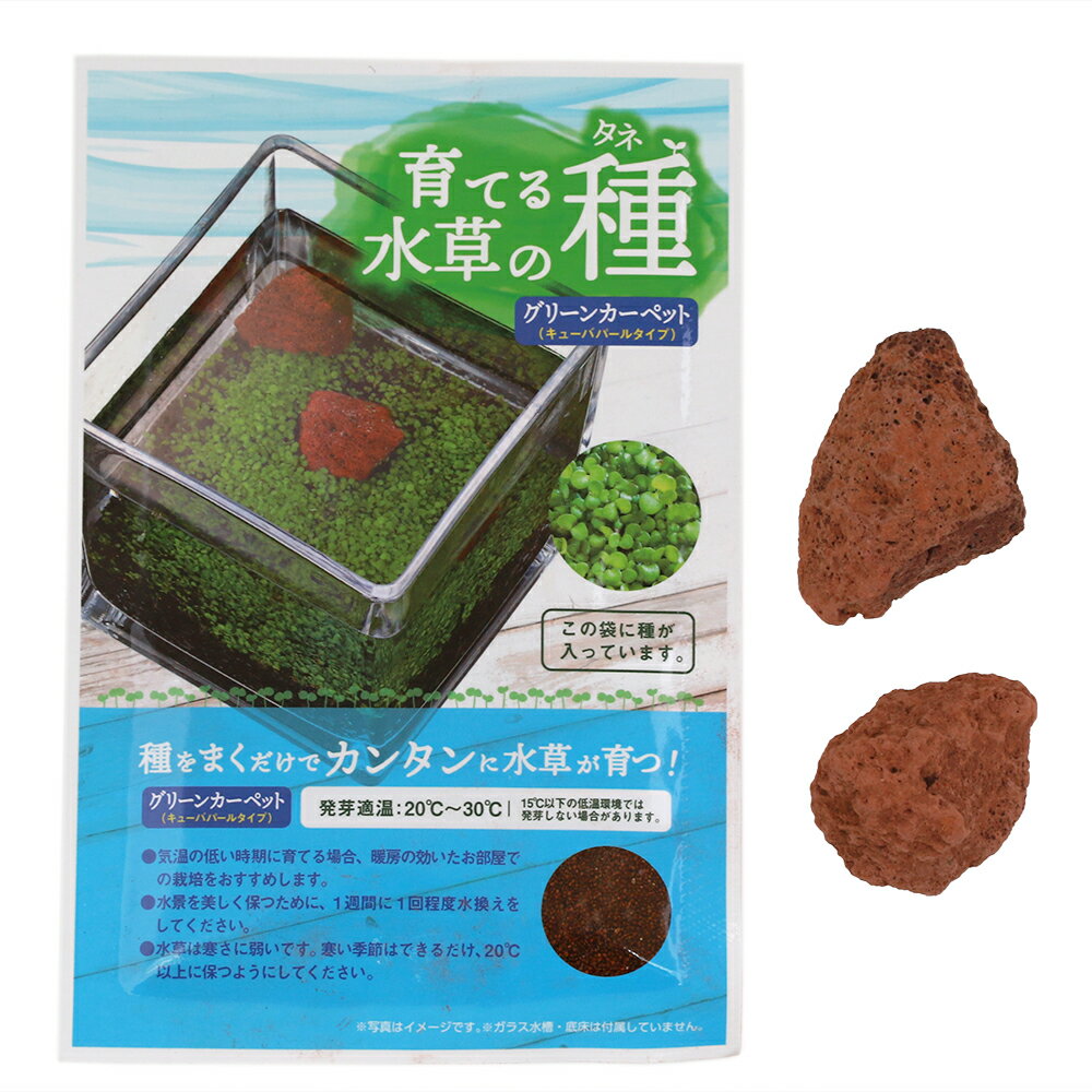 ニッソー　育てる水草の種　グリーンカーペット＆ロック　関東当日便