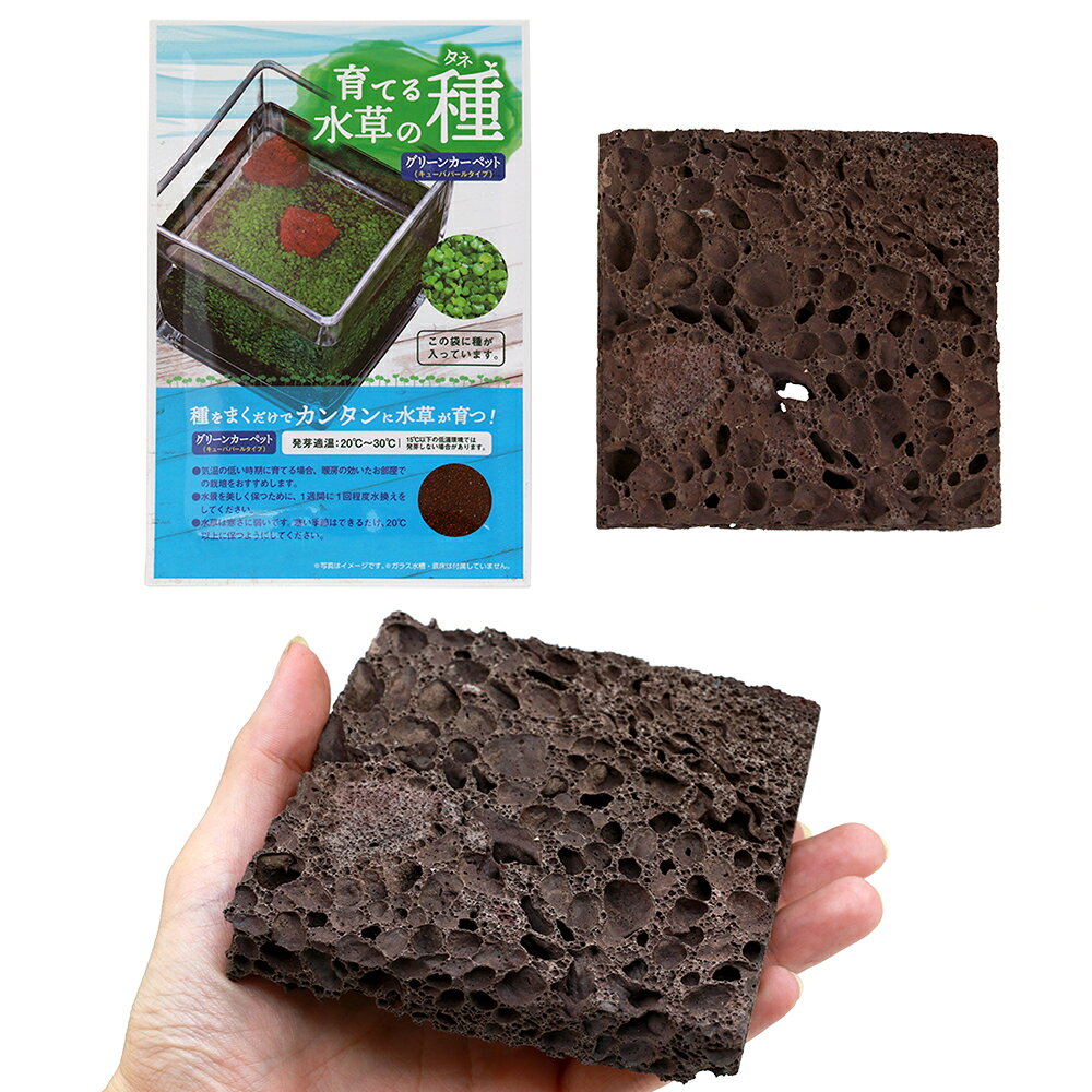 ニッソー　育てる水草の種　育成プレートセットGC　関東当日便