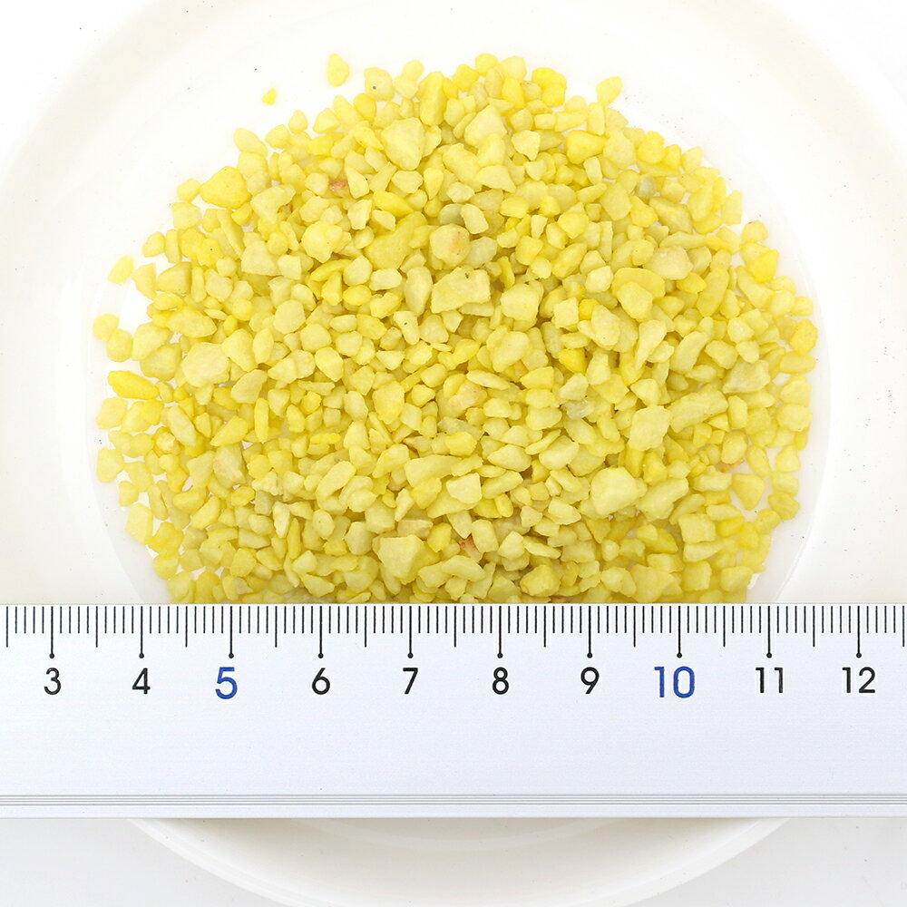 �����ȥ�å��ʡ�GEX���ܥȥꥦ�ॵ��ɡ����������������ꡡ����������