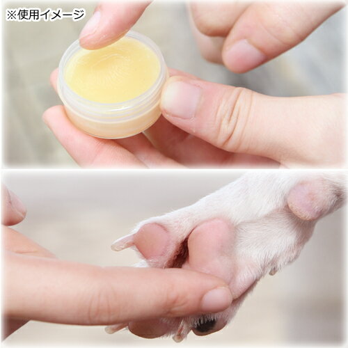 ��������­�Τ������쥹�����������åȡ�����ץ�