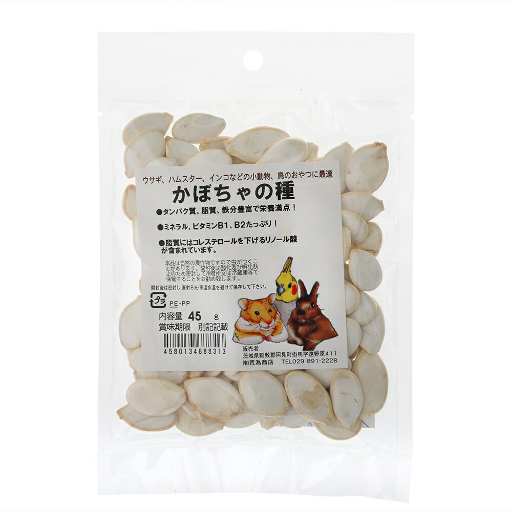 乐天商城 - 荒為商店　かぼちゃの種　45g　関東当日便