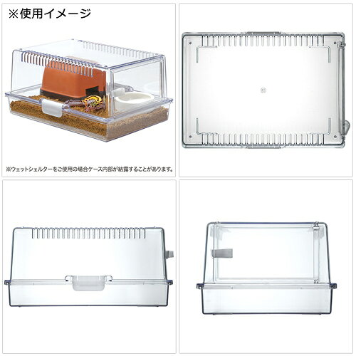 ����ॱ���������ɡ�����ץƥ�������365���������饻�åȡ�����������