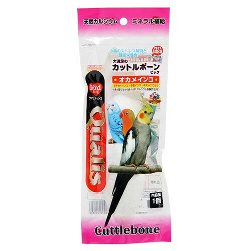Birds - クオリス　カットルボーン　ビッグ　1ヶ入り　鳥　おやつ　カットルボーン　関東当日便