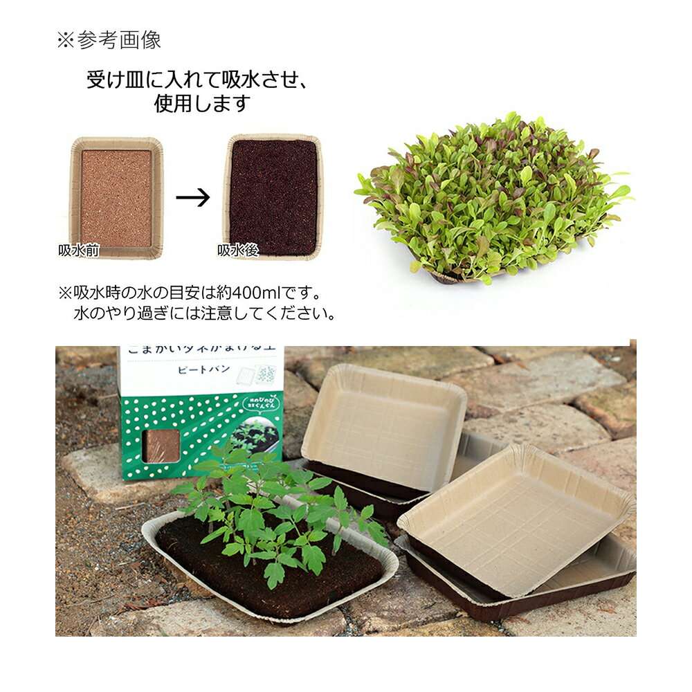 サカタのタネ　ピートバン　5枚入り　こまかいタネがまける土　関東当日便