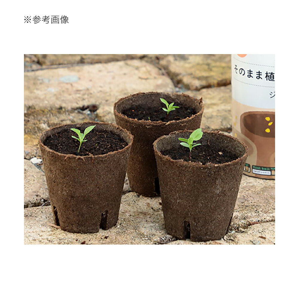 サカタのタネ　ジフィーポット　8cm　30個　関東当日便