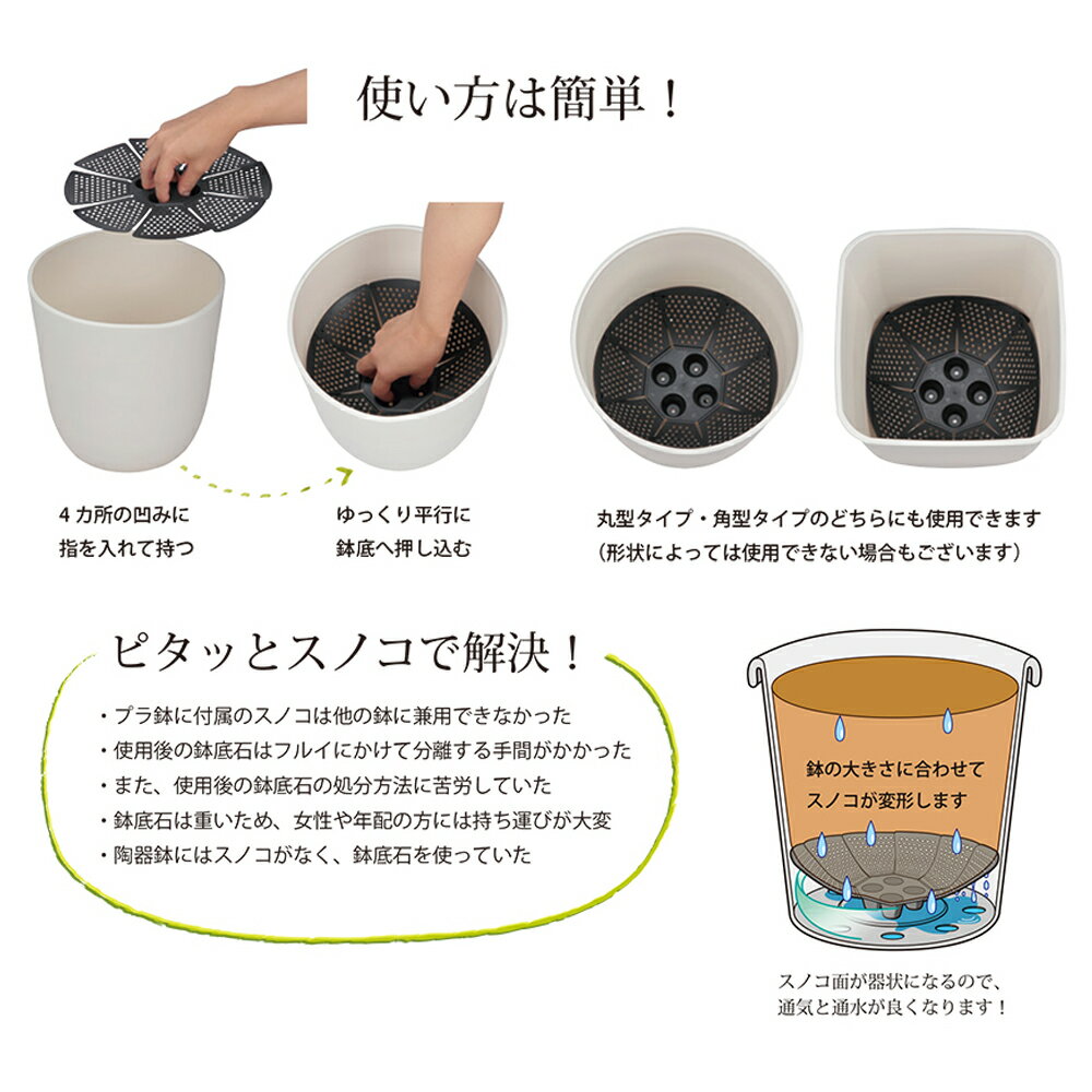 ���åץ륦���������ԥ��äȥ��Υ���23����2P��Ŭ����������7���9��ȭ������������