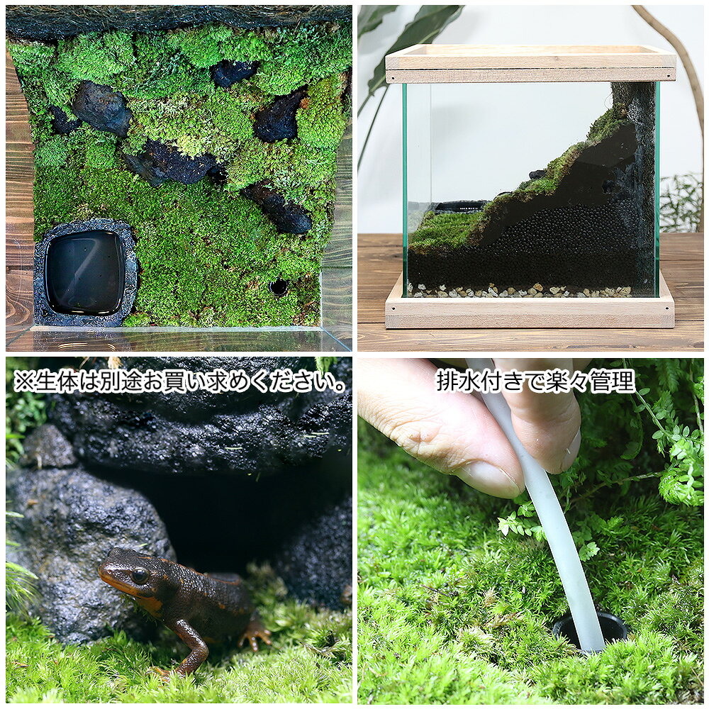 ����ꥦ�ࡡ��������ƶ�������쥤�����ȥ��åȡ��������2���¤ꡡ����������