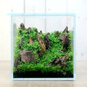 (水草)本格派ボトルテラリウムの基礎 ~ニューラージパールグラスの草原~ 本州四国限定