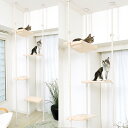 キャットタワー マルカン キティウォーク 1台 関東当日便