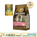 ニュートロ 猫 キャット ワイルド レシピ アダルト チキン 成猫用 2kg + ワイルド レシピ パウチ おまけ付 関東当日便