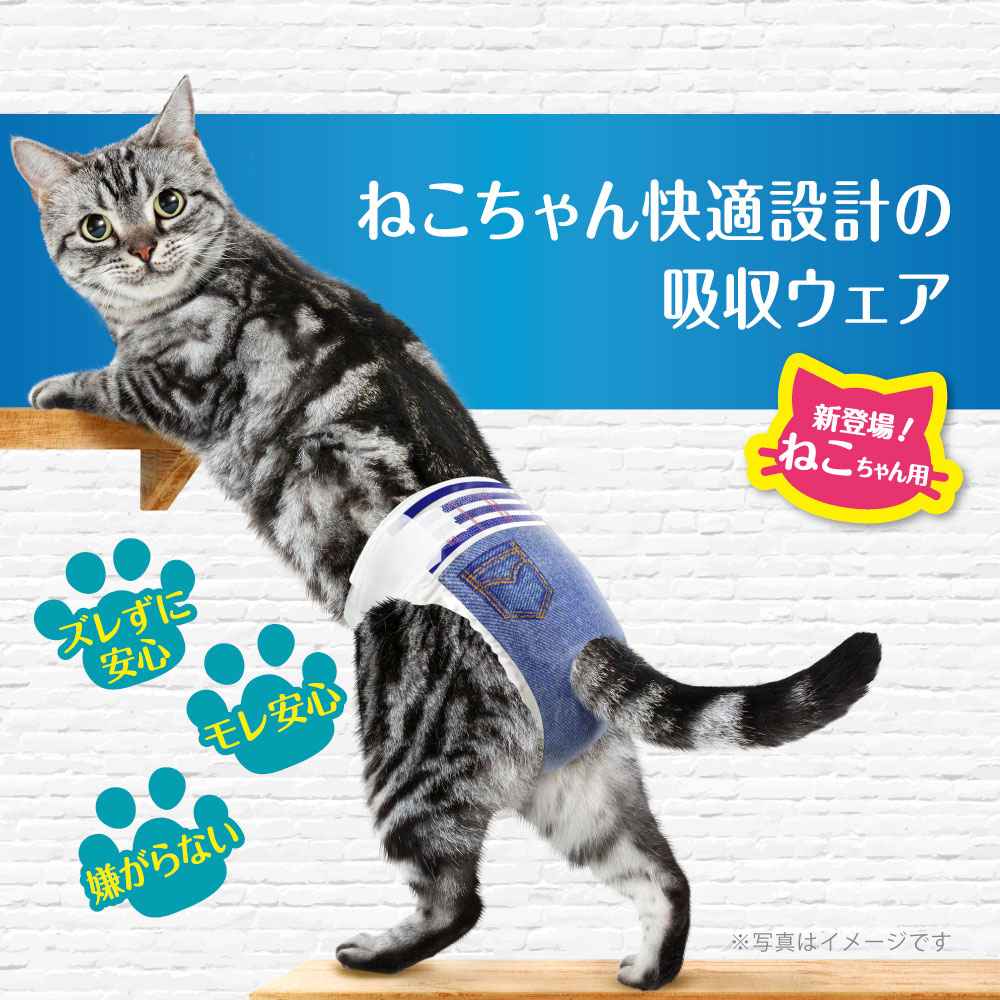 ǭ������ġ��ޥʡ����������ͤ��ѡ�S��������38����������������