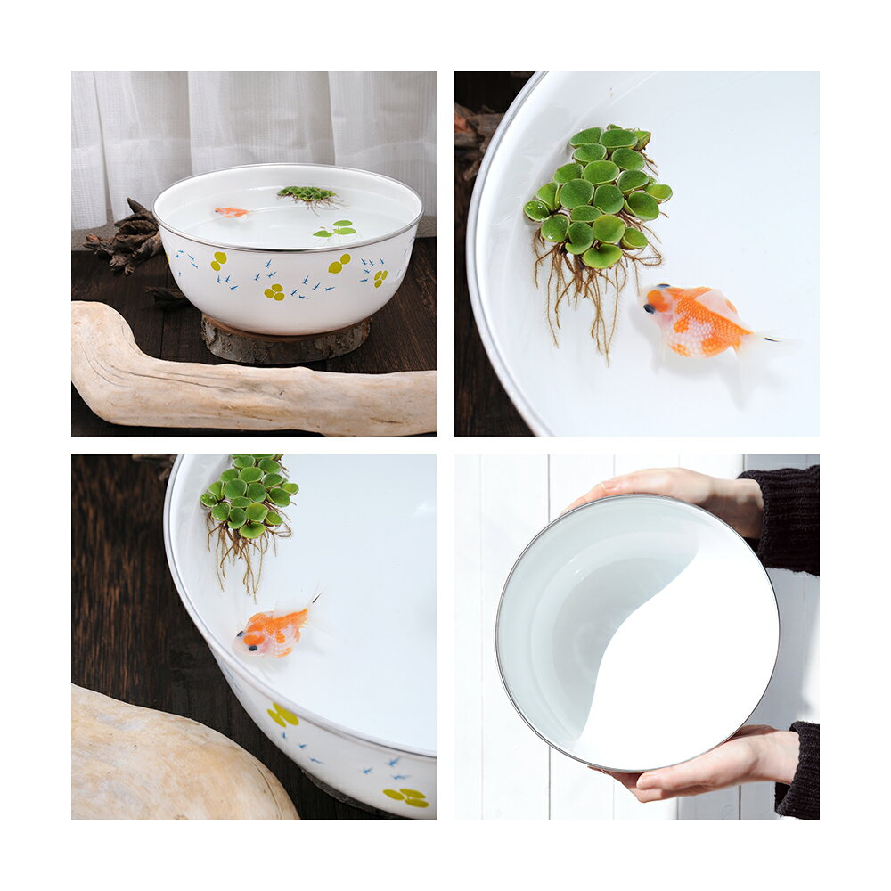 �ۡ������ܡ��롡���������24cm�������ȭ���������ȭ���ߥ˥ӥ��ȡ��ס�����������
