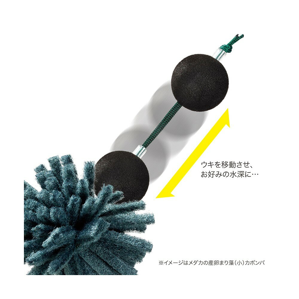 ���ɡ���������λ���ޤ����ʾ��ˡ����ܥ�С�����������