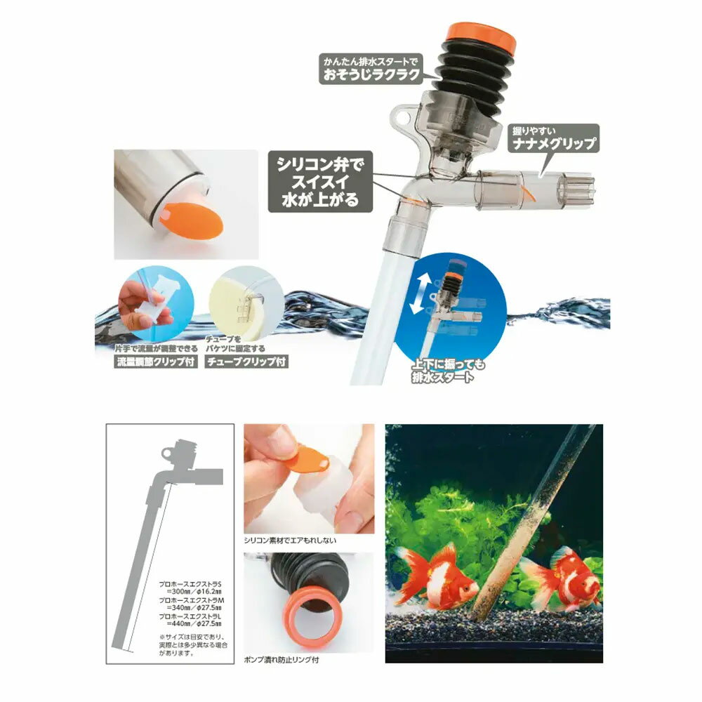 60cm�����ѡ����ؤ���6�����åȡ�ø�塦�����ѡ����塡�ݽ�������������