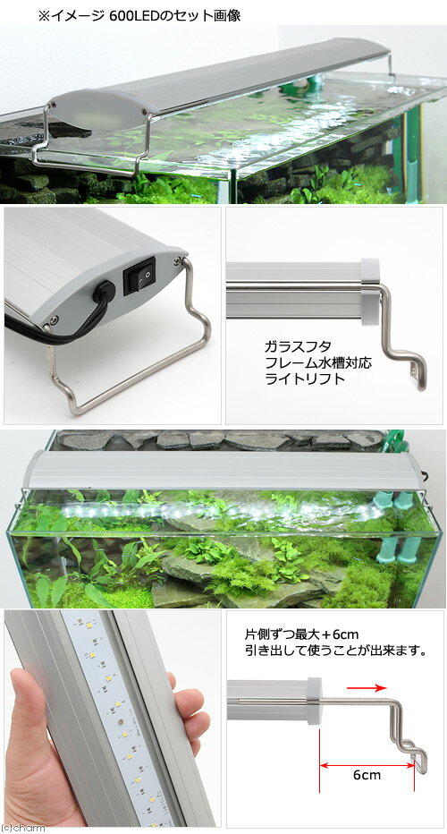 45cm���奻�åȡ���ڤ˾���Ǯ�ӵ������Ӥ���顪�������ꥦ�����ʡʿ��塦LED�饤�ȡ�¾5���˥ץ��侩�����Ƥλ��饻�åȡ�����������