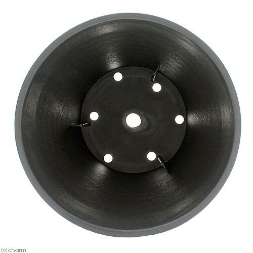 ȭ�����饢���ȡ�Ĺȭ��8�桡����5�ġ�����������