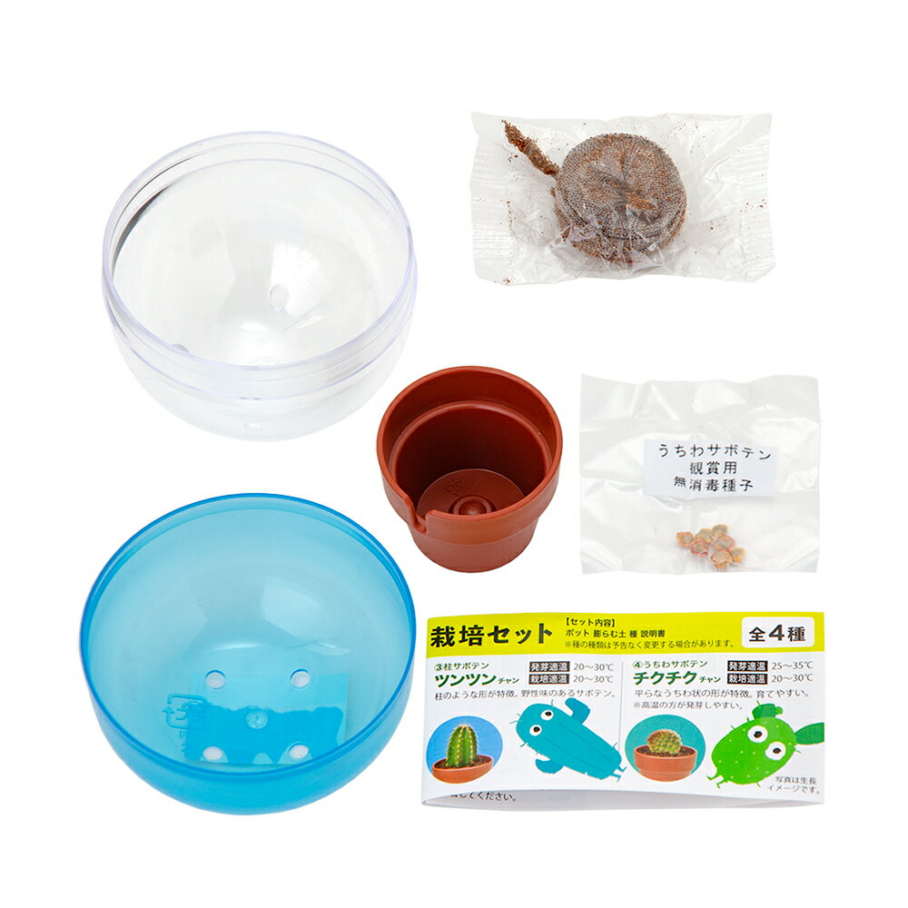 ����ƫ�ݡ���Ƥ륫�ץ��롡GREEN��CAPSULE�����ݥ��åȡ����ޤ������ܥƥ󡡺��ݥ��åȡ������ڱࡡ���եȡ�����������