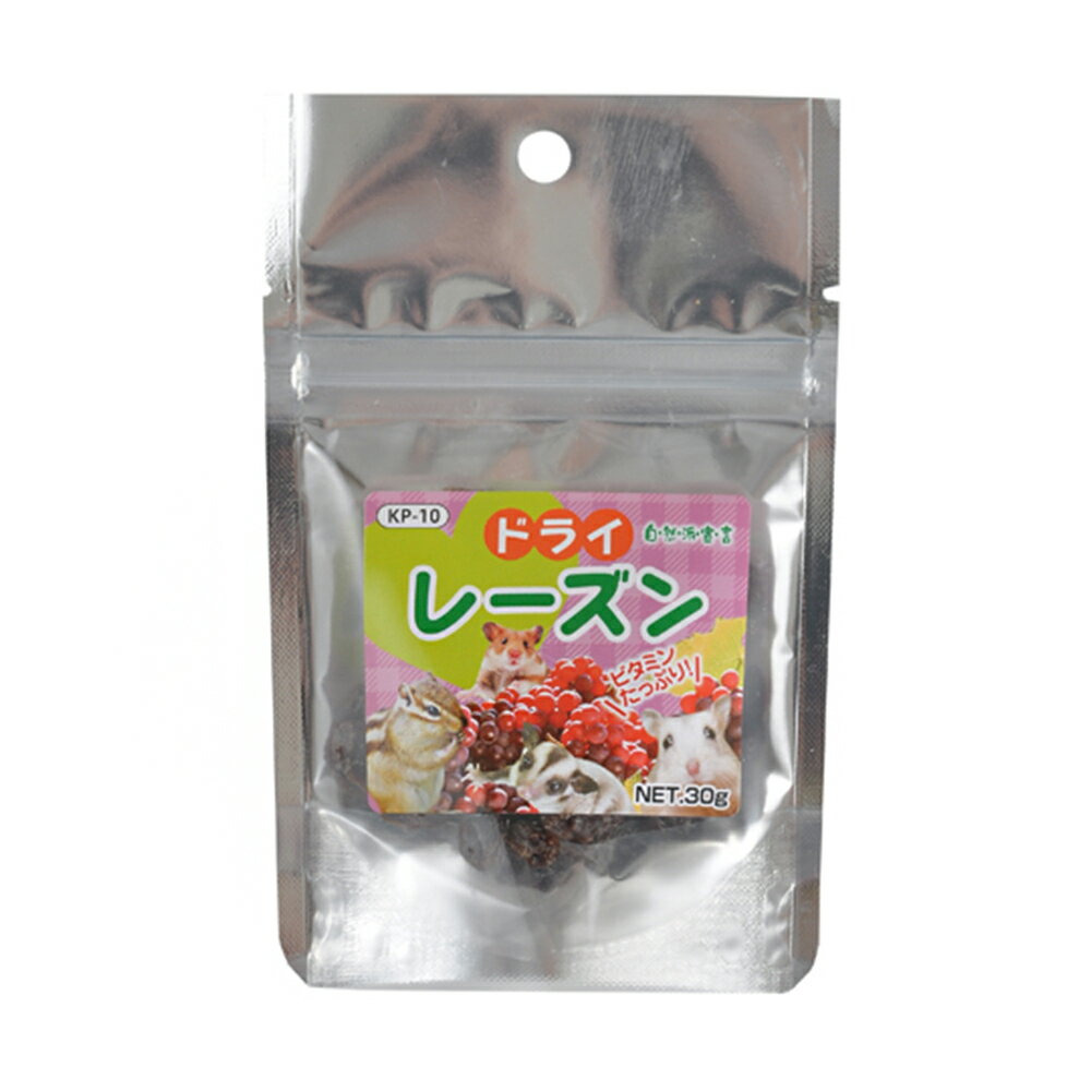 黒瀬ペットフード　自然派宣言　ドライレーズン　30g　おやつ　関東当日便