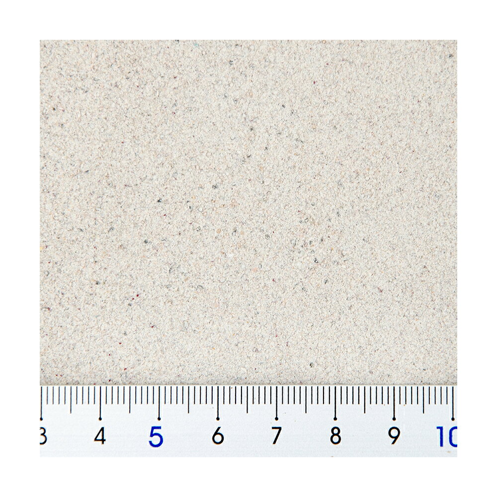 レパシー　スーパーフード　カルシウムプラス　LOD　3oz　85g　爬虫類用カルシウム　関東当日便 chanet3980-10028760 charm 3980 楽天市場店 サンプル画像3