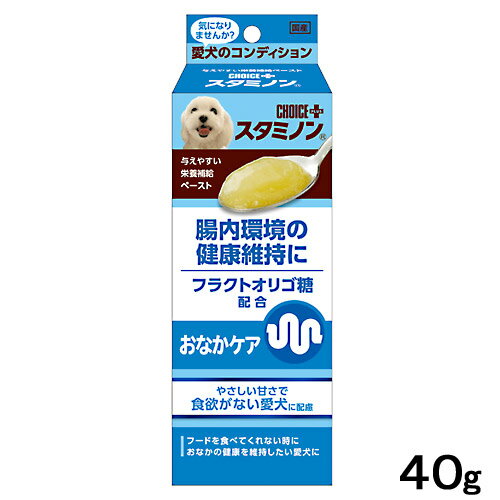 犬　サプリ　チョイスプラス　スタミノン　おなかケア　40g　関東当日便