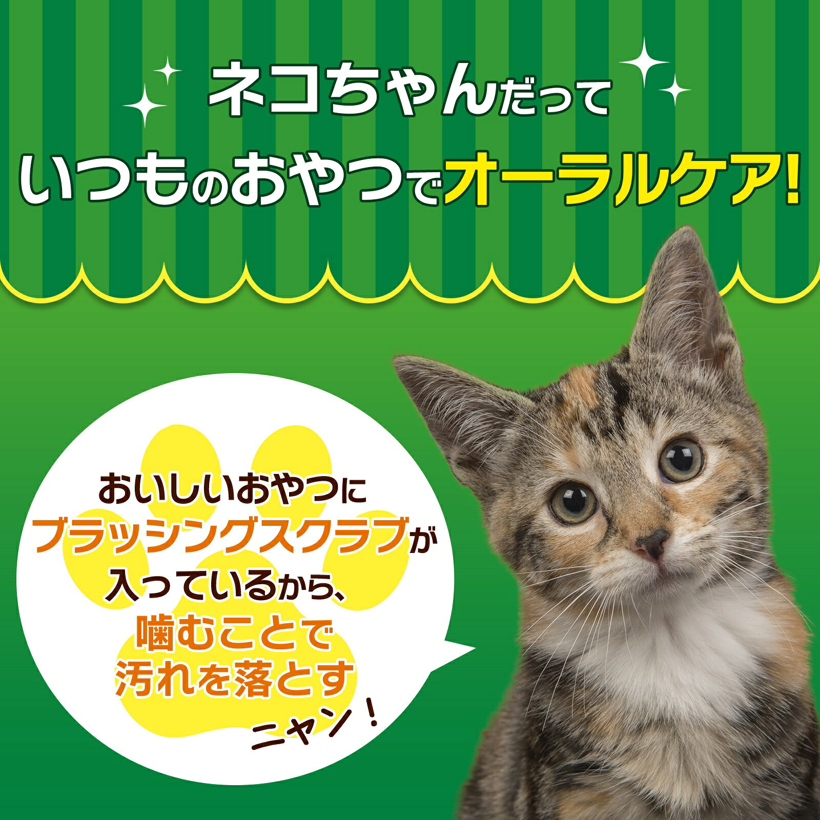 �饤���󡡥ڥåȥ��å���PETKISS���ͥ������λ��ߤ�������ġ������ߥץ������롡16g��ǭ�����᤭������������