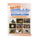 初めて飼う日本のカブトムシ 関東当日便