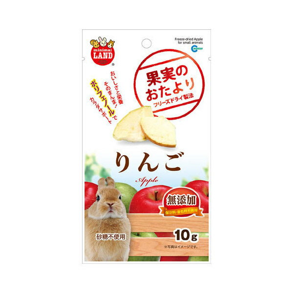 マルカン　果実のおたより　りんご　10g　無添加　小動物　おやつ　うさぎ　関東当日便