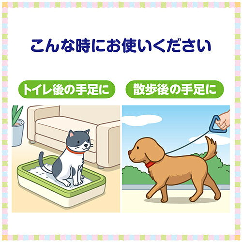 �ǥ����꡼�󡡥����å������ѡ��������������åȥƥ��å��塡��Ƚ��25�硡����������
