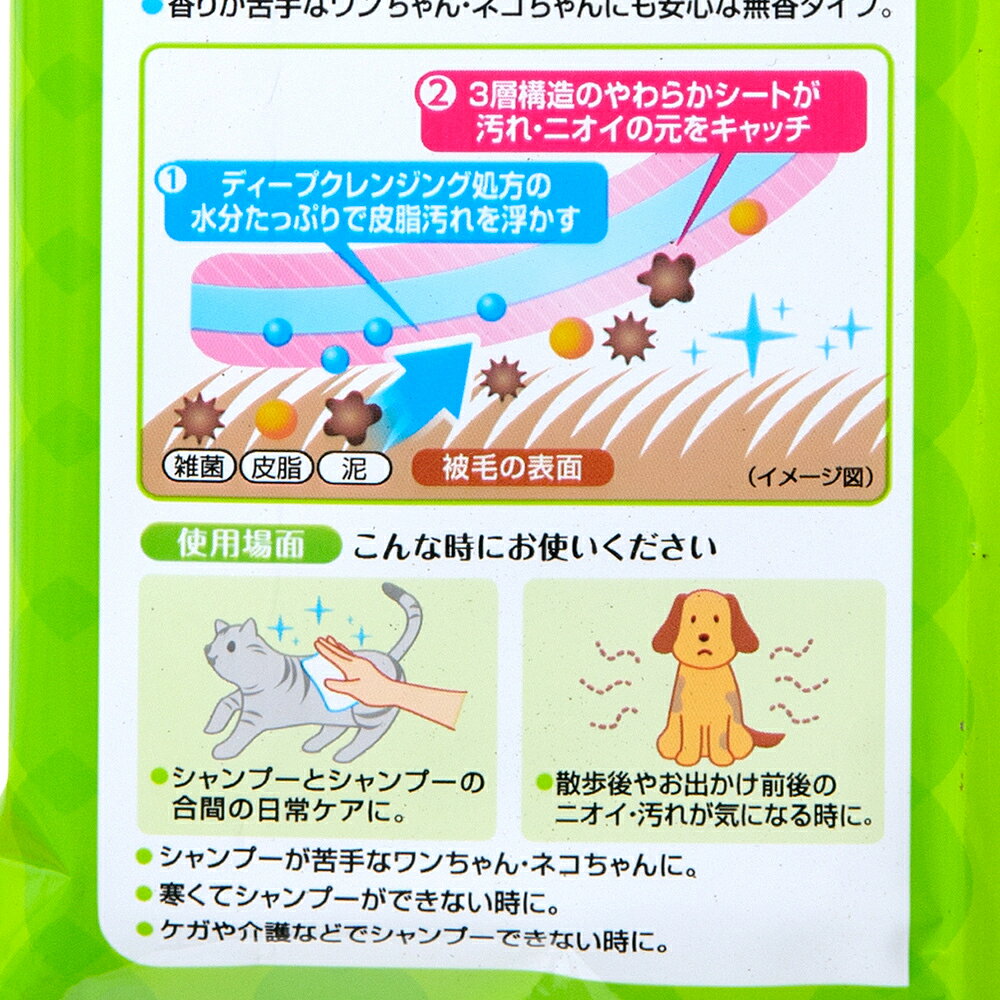�ǥ����꡼�󡡤�����դ������ȡ����緿���ѡ�̵�ᡡ15�硡����������