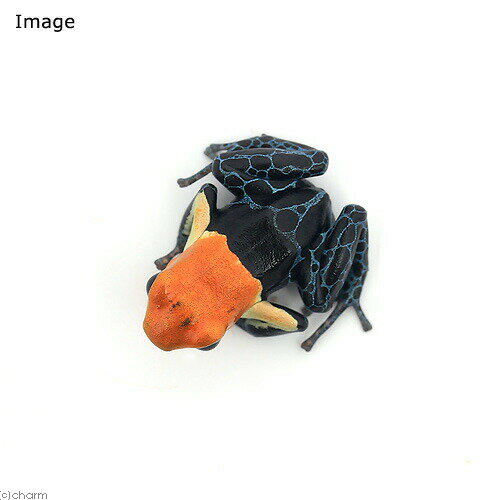 ��ξ����˥ե��󥿥��ƥ�����ɥ������롡�ȥ��롼�Υߥʡ�true��nominal�ɡ�1ɤ�ˡ��̳�ƻ���彣�Ҷ������ݲ�