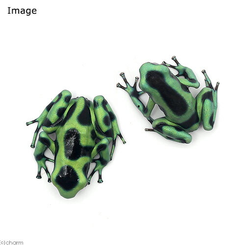 ��ξ����˥ޥ����ɥ������롡������������cahuita�ɡ�1ɤ�ˡ��̳�ƻ���彣�Ҷ������ݲ�