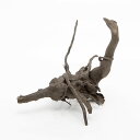 形状お任せ 煮込み済み ルーツウッド Mサイズ(約25〜35cm) 1本 レイアウト素材 流木 関東当日便