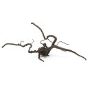 形状お任せ 煮込み済み ルーツウッド Lサイズ(約35〜45cm) 1本 レイアウト素材 流木 関東当日便