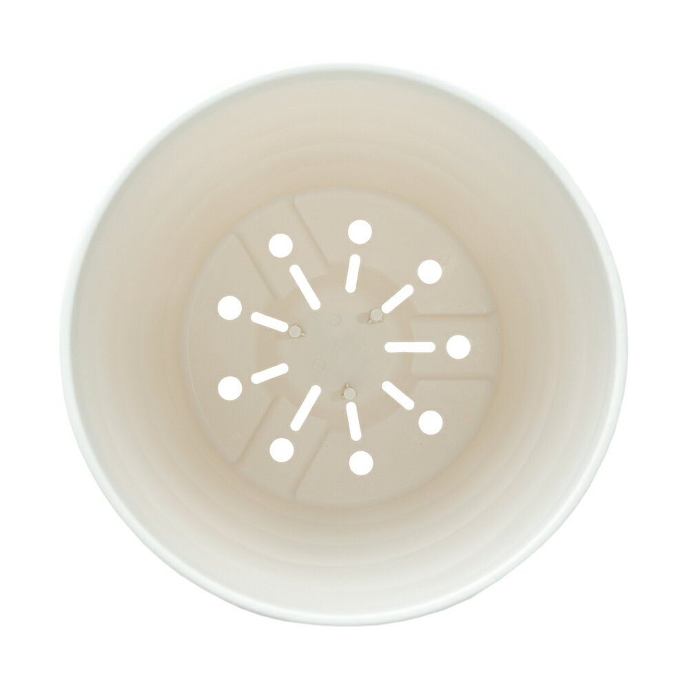 ���åץ륦������������եȥݥåȡ�21�����ۥ磻�ȡ�����������