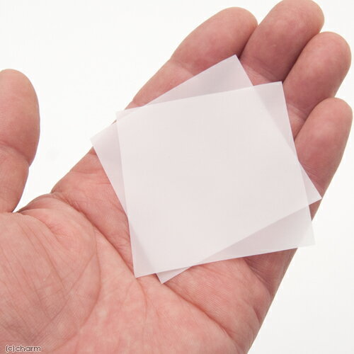 �ԥ������ӥͥ���������ʬΥ���ָ��ѡ��ޥ�������å��塡2�����ꡡ����������