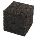 鉢 たくにわ フェゴ着生CUBE(58×58×58mm) 関東当日便