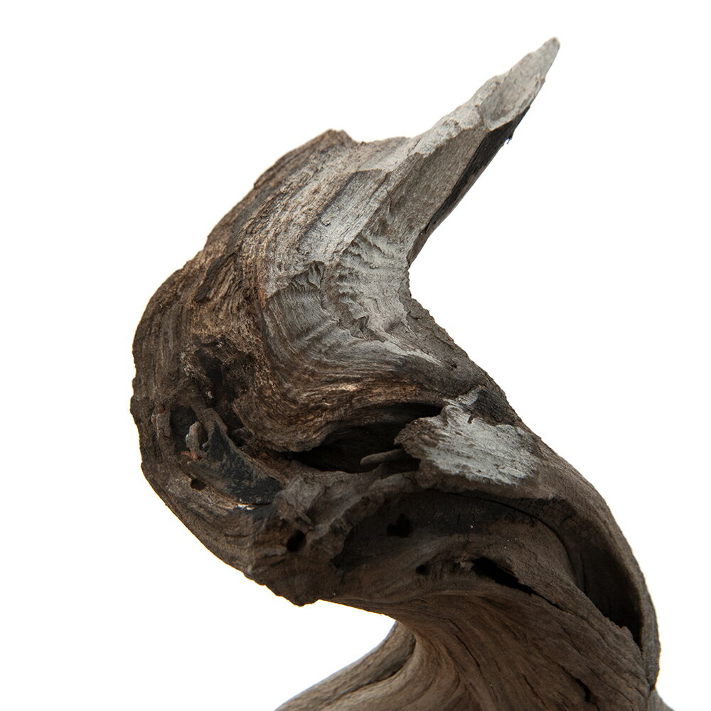 ������Ǥ�����ѹ��ߺѤߡ��������ȥ��åɡ�M����������40��50cm�ˡ�5�ܡ��쥤�������Ǻࡡή�ڡ�����������