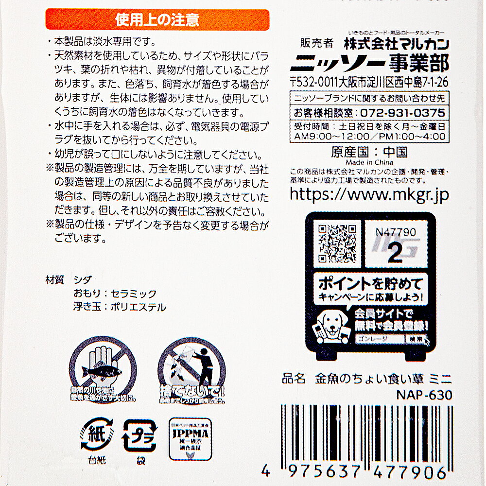 �˥å���������Τ��礤�����𡡥ߥˡ�1�ġ�����������