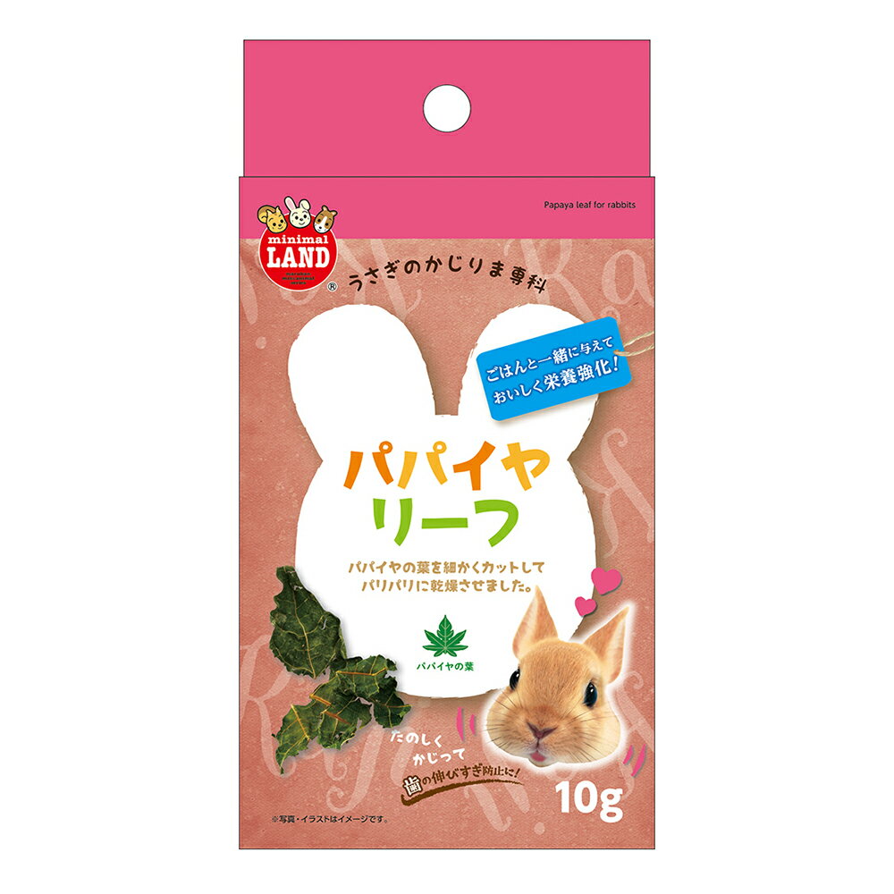 マルカン　かじりま専科　パパイヤリーフ　10g　関東当日便