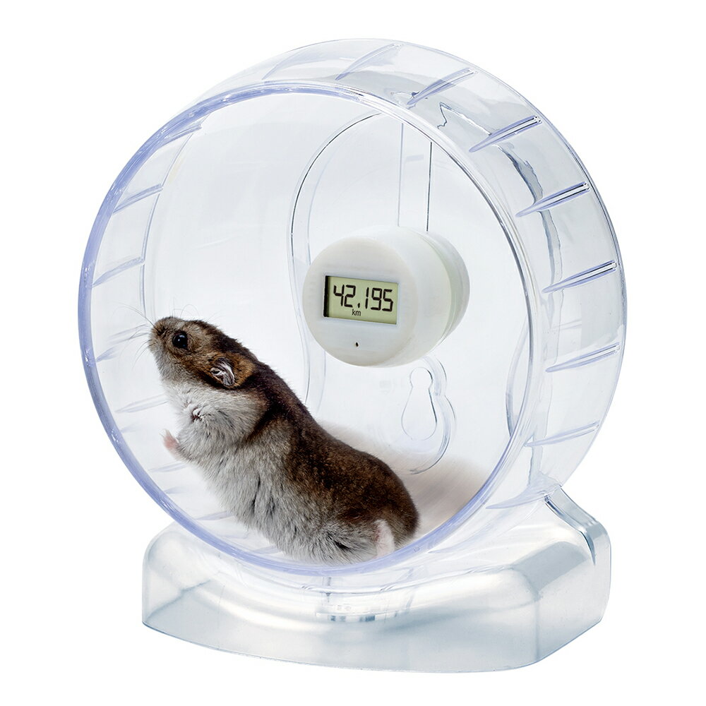 �ޥ륫�󡡥��꡼��ۥ����롡���˥󥰥᡼������15������������