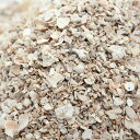 国内洗浄焼成済み C.P.Farm コーラルシェル 3kg(1kg×3)(約2.4L) 海水水槽用底砂 おまけ付き 関東当日便