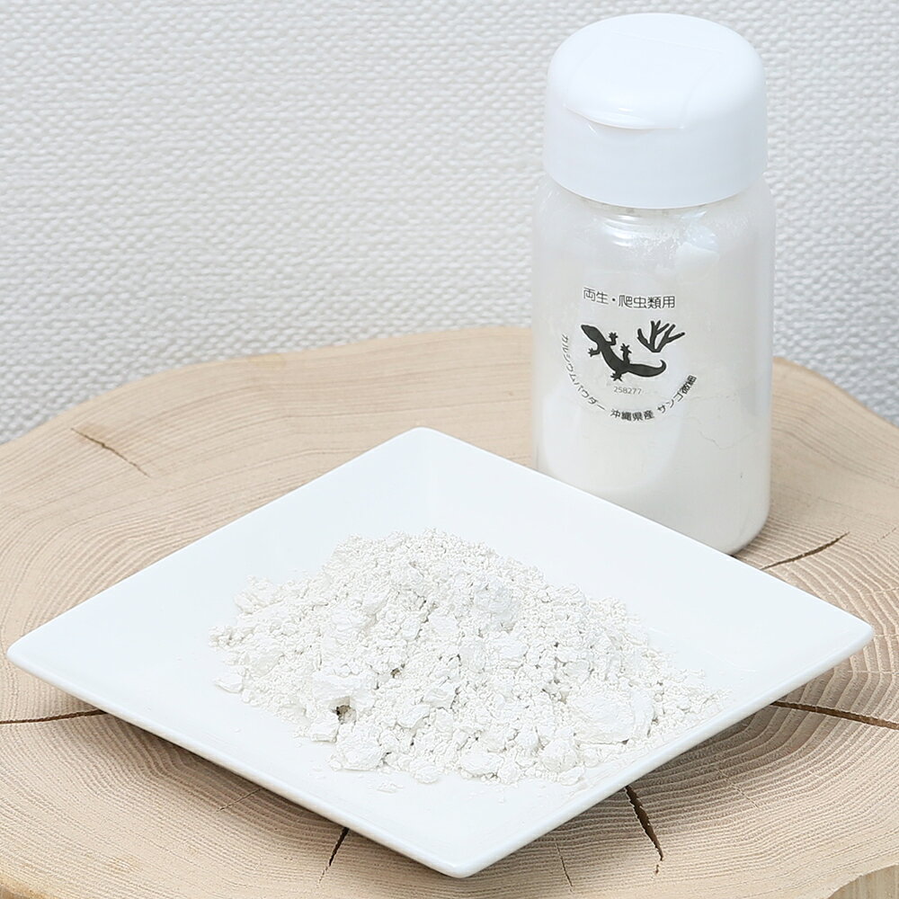 沖縄県産サンゴ微細カルシウムパウダー　50g　両生・爬虫類専用　飼料添加剤　爬虫類　サプリメント　添加剤　ダスティング用　関東当日便 chanet3980-10044642 charm 3980 楽天市場店 サンプル画像3