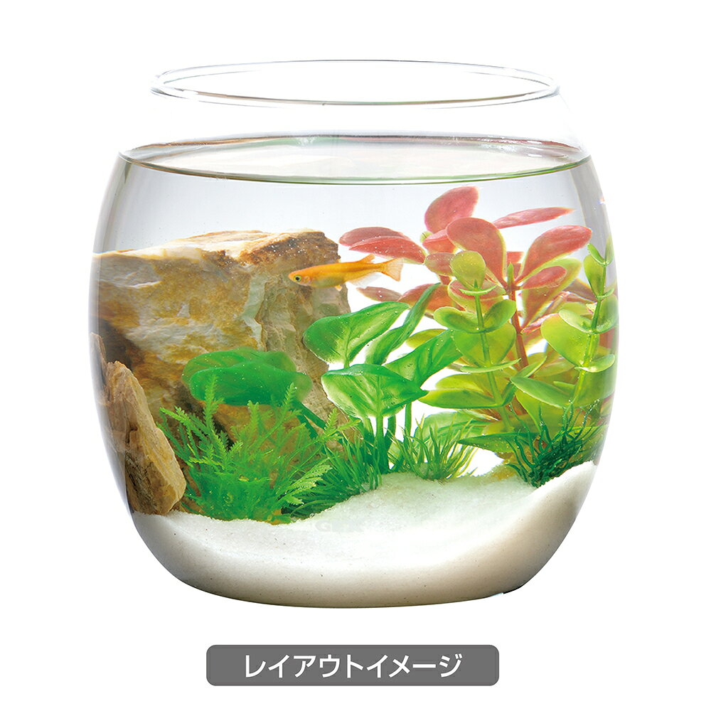 GEX　癒し水景　ボトルプランツ　アヌビアス　人工水草　関東当日便