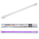 アウトレット品 水作 LED ライトアップスリム 600VT ホワイト 60cm水槽 赤がきれいに見える アクアリウム 照明 訳あり 関東当日便