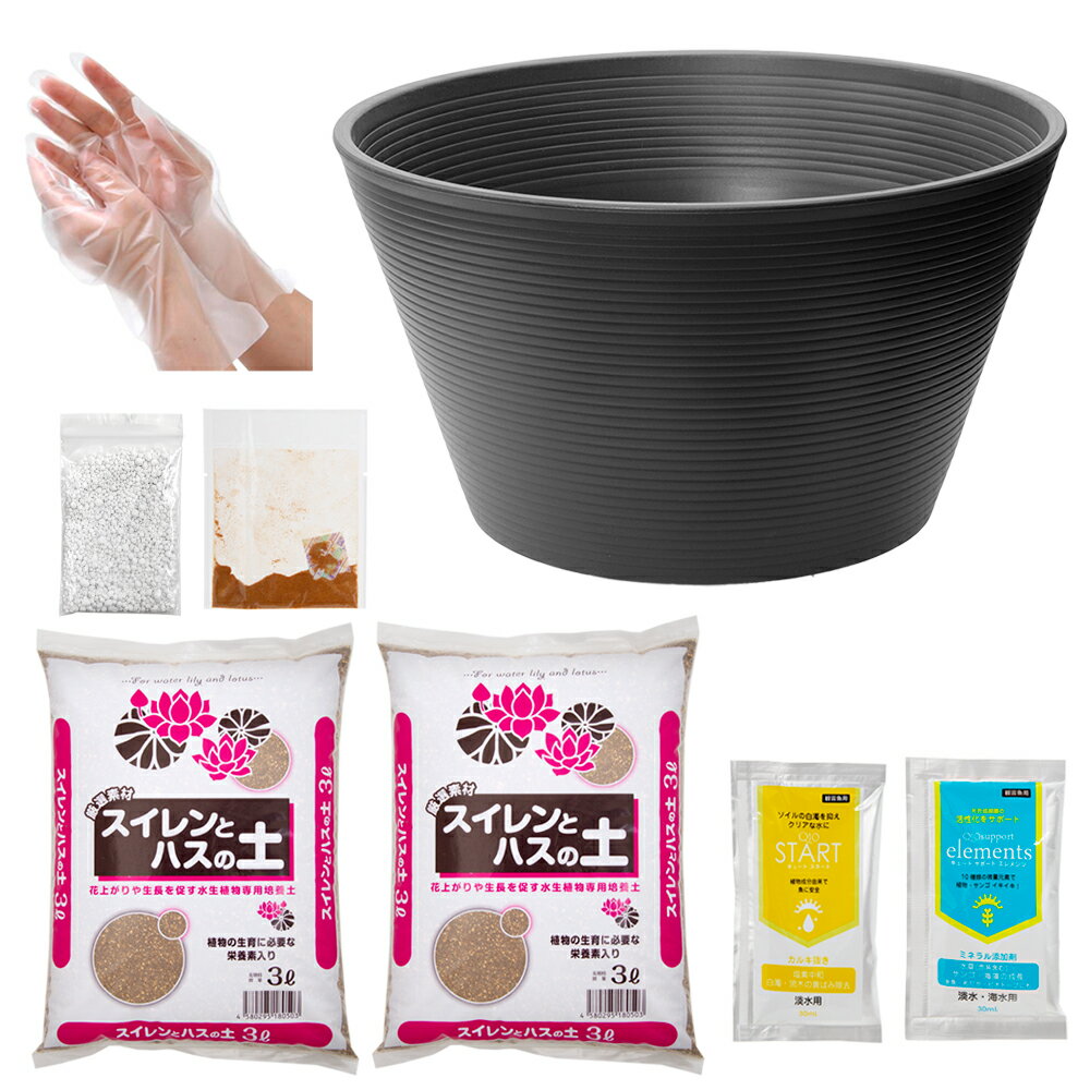 14号　プロが考えた睡蓮鉢（メダカ鉢）　グレー＋スイレンとハスの土　6L（3L×2）＋固形栄養素＋カルキ抜き　関東当日便